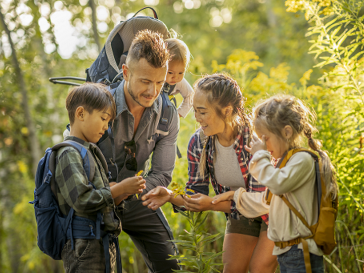 A small family of five hike together in the woods as they look more closely at the nature around them by looking at leaves and identifying plants. They are each dressed casually, have backpacks on and the father has the youngest child in a carrier.