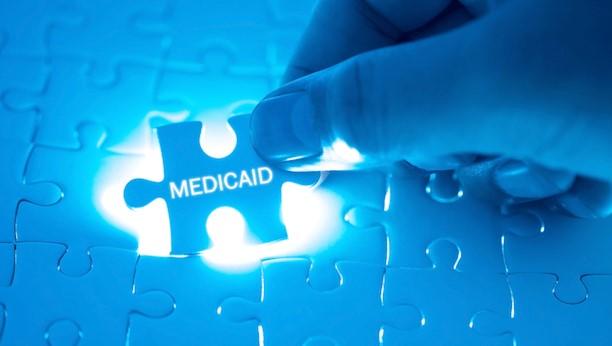 medicaid puzzle